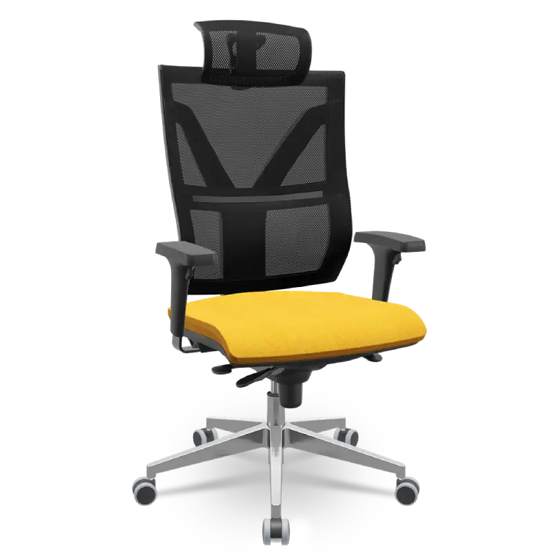 Cadeira para diretor